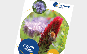 Cover crops 2023